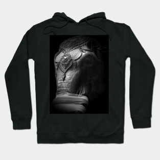 KING CHANG! Hoodie